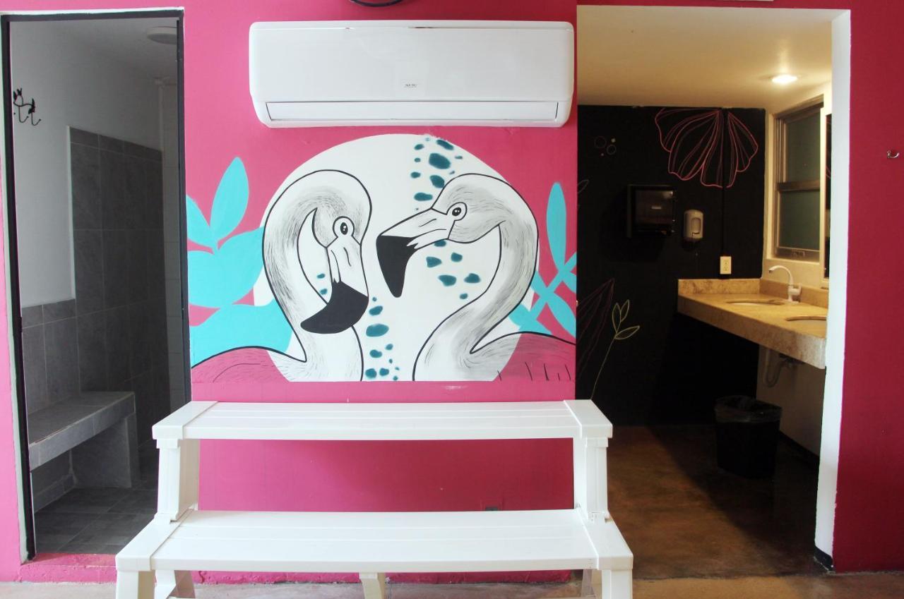 Hotel & Hostal Casa De Luz Cancun Ngoại thất bức ảnh